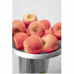 Güde Obsthäcksler Obstmühle GOH 1500 Obstmuser Edelstahlgehäuse 1100 Watt Motor -GüDE Geschäft 69003928 5